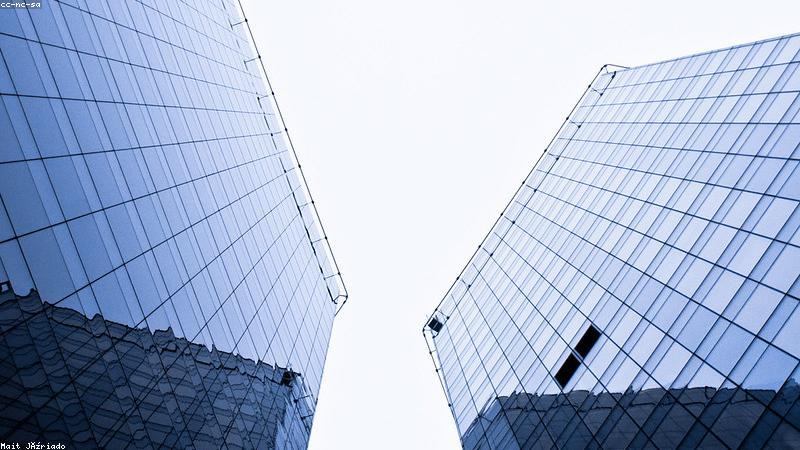bt蚂蚁团队在开放办公空间中协作整理影视条目数据